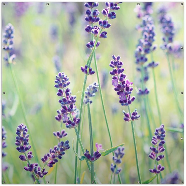 Wallario Gartenposter Lila Blumenfreude mit violetten Pflanzen auf der Wiese, Breite: 60 cm, Höhe: 90 cm - Bild 1