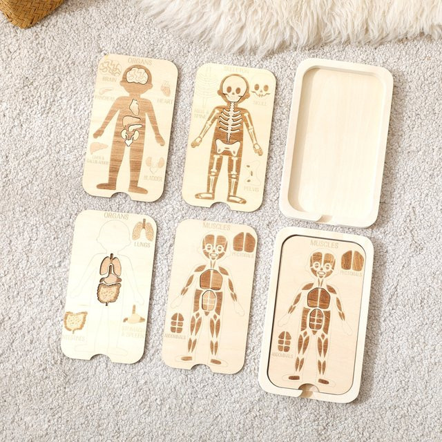 let's make Menschlicher Körper Puzzle, Holz, Kognitiv - Bild 1