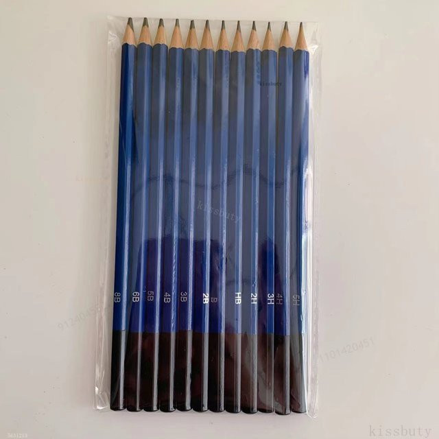12er Set Professionelle Holz-Zeichenstifte für Skizzen und Malerei in den Härtegraden 5H bis 8B, Blau - Bild 1
