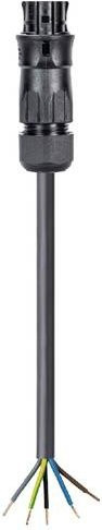 Wieland Electric Anschlussleitung Schwarz - Bild 1