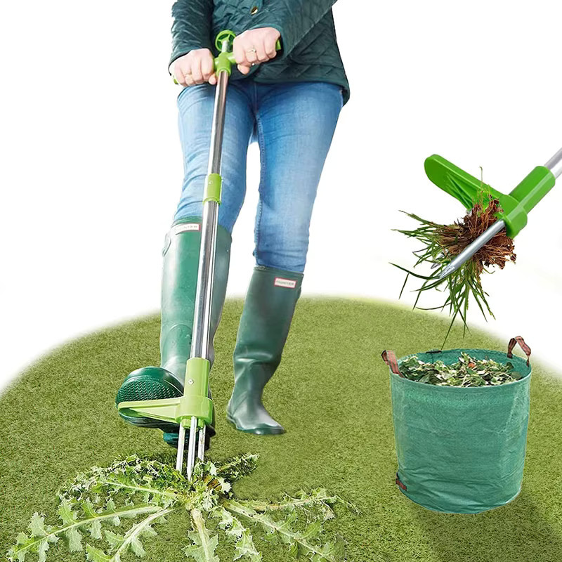 Unkrautentferner mit langem Griff in Grün für Garten und Rasen - Bild 4