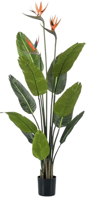 Künstliche Strelitzia Constantin von Aplanta, Höhe: 120 cm - Bild 1