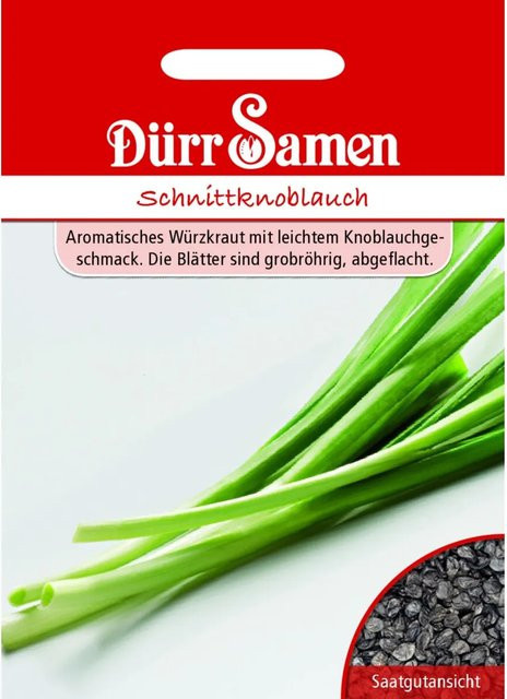 Dürr Schnittknoblauch Saatgut zum Aussäen - Bild 1