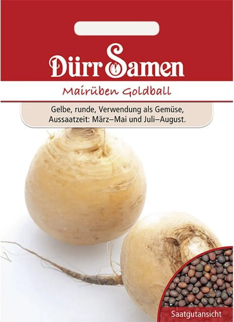 Dürr Samen Mairüben Butterrüben Goldball Saatgut für Frühjahrsaussaat und Sommeraussaat - Bild 1