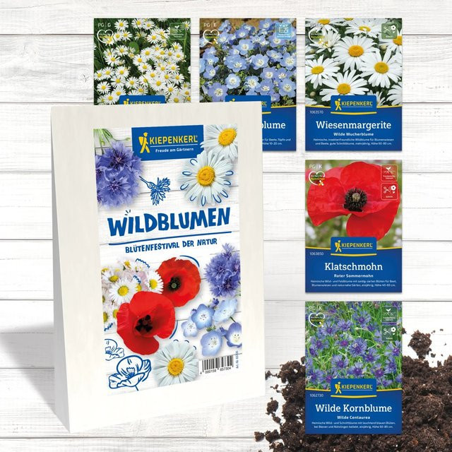 Kiepenkerl Blumensamen-Set Wildblumen Blütenfestival der Natur - Bild 1