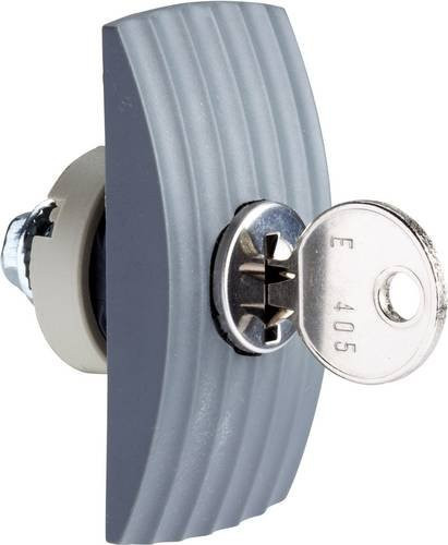 Schneider Electric NSYML405SD Zylinderschlüssel Verriegelung aus Zamak in Grau - Bild 1