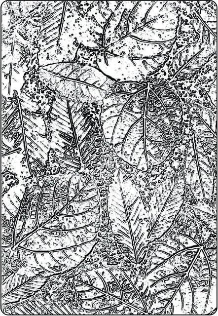 Sizzix A5 3D-Prägeschablone Tim Holtz Foliage - Bild 1