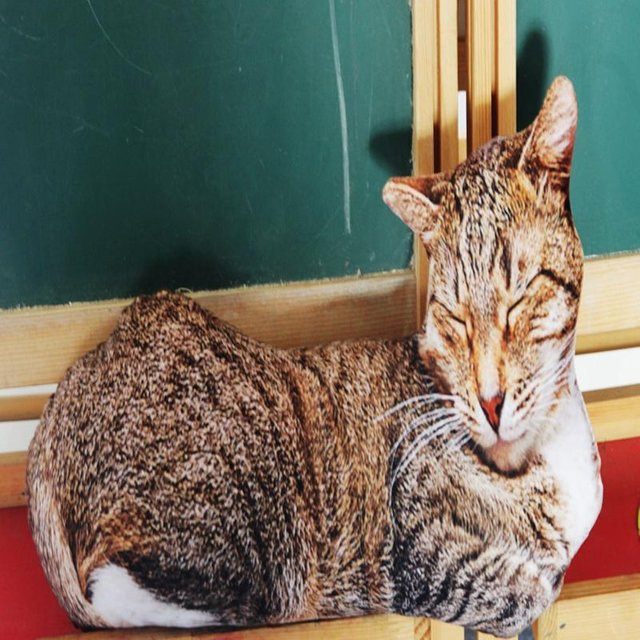 Yiran toy Niedliche Lebensechte 3D Katze Hund Plüschtiere, 50cm, Braun - Bild 1