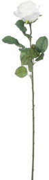 Mica Künstliche Rose in Creme als Textil-Dekoblume, Höhe: 69 cm - Bild 1