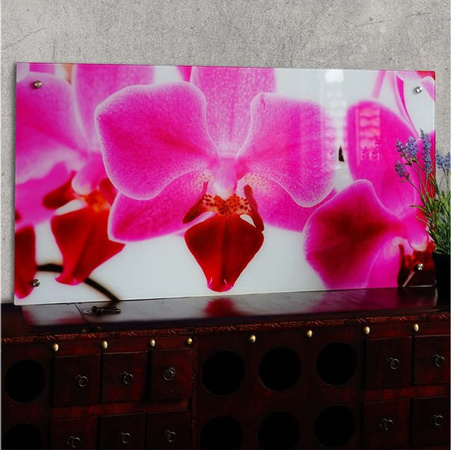 MCW Glasbild Orchidee Motiv, Wandbild Floral, mehrfarbig, B: 100 cm, H: 50 cm