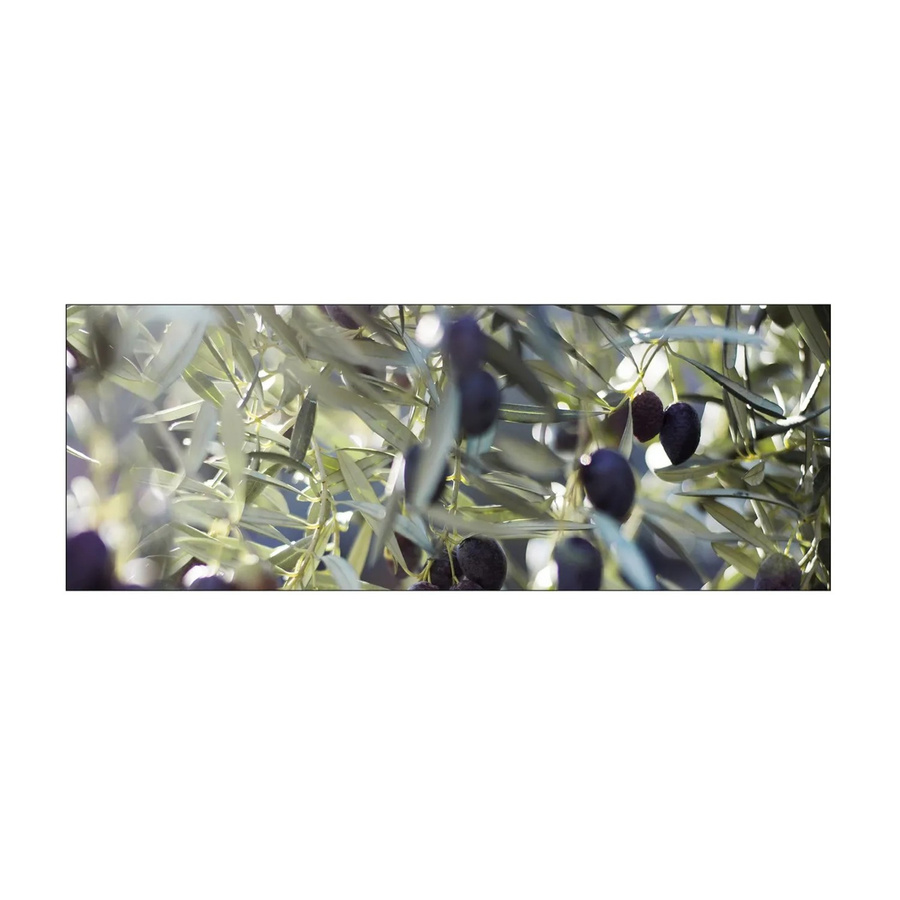 MySpotti Küchenrückwand Profix Cucina Olivenbaum in Blau-Grün mit Aluminium-Optik, Breite: 160 cm, Höhe: 60 cm - Bild 1