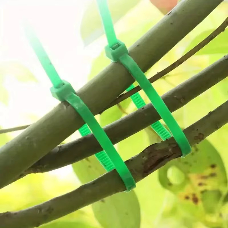 Ausum Gartenumreifung in Grün aus Kunststoff zur Pflanzenbefestigung und Rasenpflege mit Reißverschlussbinder - Bild 3