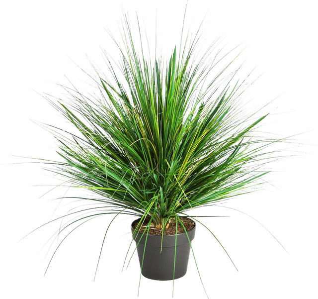 Künstliches Gras Onion von Aplanta, Höhe: 50 cm - Bild 1