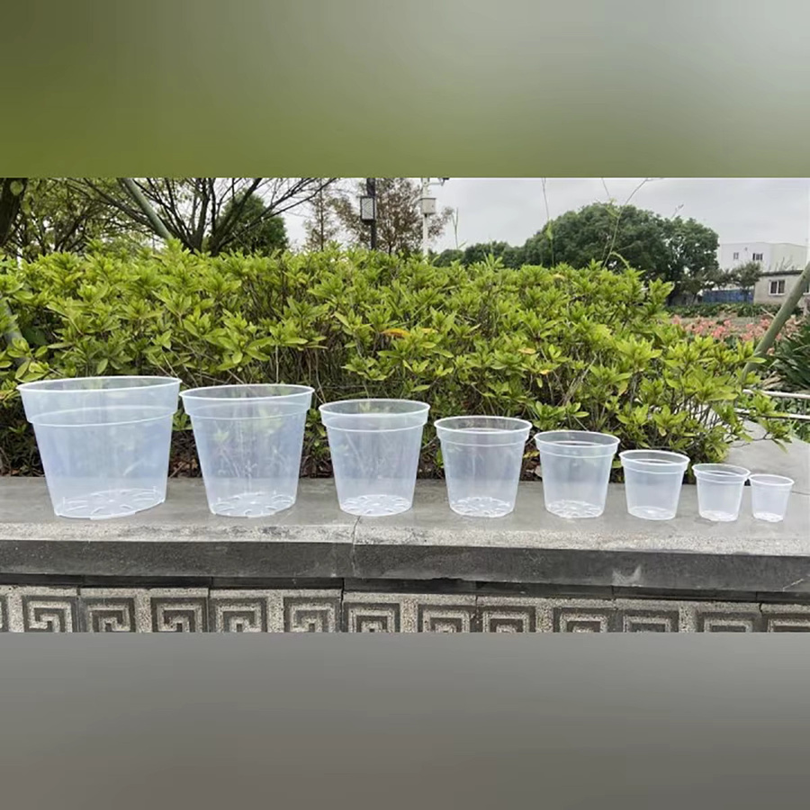5er Set transparente runde Pflanztöpfe aus Kunststoff für Orchideen und Sämlinge von Adhere To Fly, Durchmesser: 6 cm, 7,6 cm, 10 cm, 13 cm und 15 cm - Bild 4