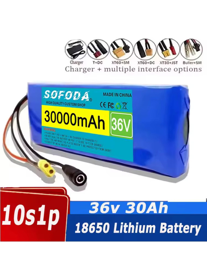 ALalito 36V 30000mAh 10S1P 18650 Lithium-Ionen-Akku mit BMS und 42V 2A Ladegerät in Blau - Bild 3