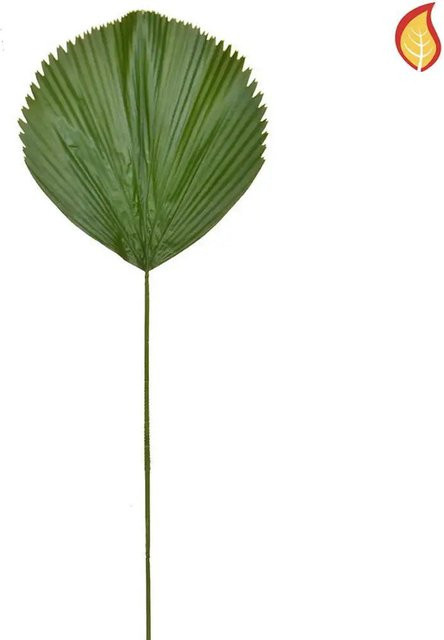 Künstlicher Palmenzweig Aplanta Markus, Höhe: 105 cm - Bild 1
