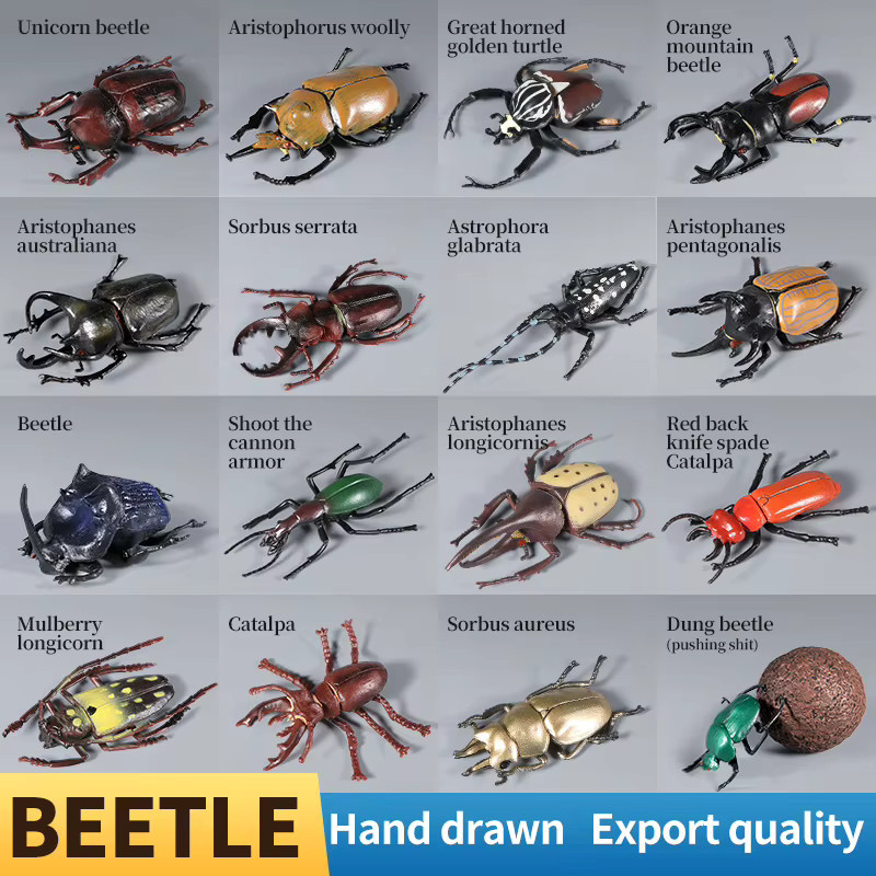 XIALIBAOMOWAN Einhorn Käfer Longhornedbee, Actionfiguren, Lernspielzeug - Bild 2