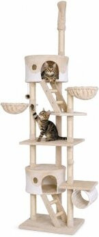 Lionto Kratzbaum XXL für erwachsene Katzen mit Höheneinstellung und integriertem Spielzeug, Farbe: weiß/beige, Höhe: 230 - 250 cm - Bild 1