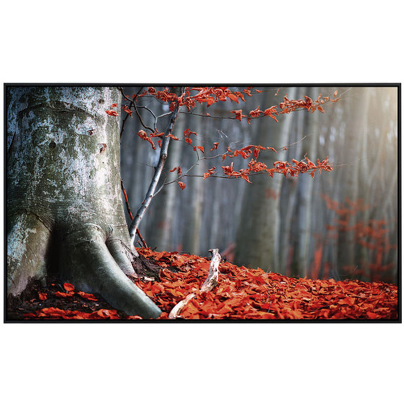papermoon EcoHeat Infrarotheizung Alter Herbstbaum mit Matt-Effekt in Bunt, App-Steuerung und Überhitzungsschutz - Bild 2