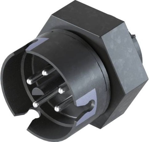 Wieland Electric Geräteanschluss 4L.052.4041.4 in Grau und Schwarz - Bild 1