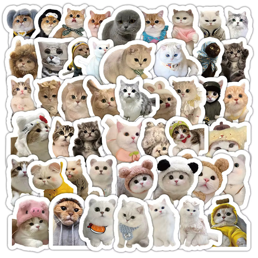 Realistisches Kitty-Stickerbuch mit 103 Stück in Multicolour zur Dekoration von Wasserflaschen - Bild 2