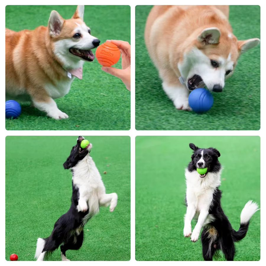 Gabe Hundeball, Hundespielzeug, Gummi - Bild 3