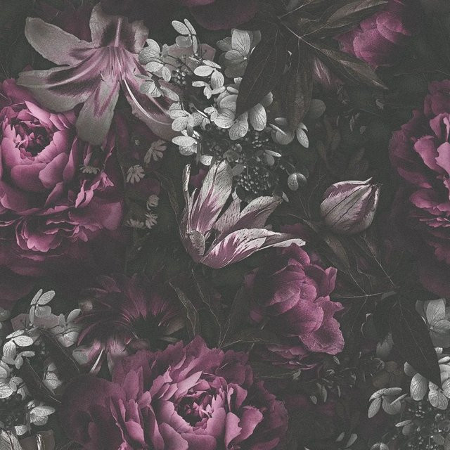 Profhome Tapete Floral Matt in Lila, Schwarz, Rosa und Grau, Motiv Botanische Blumen, Breite: 0,53 m, Länge: 10,05 m - Bild 1