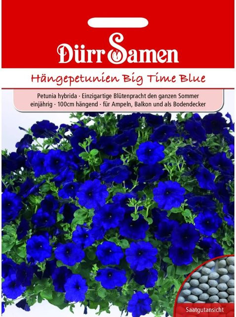 Dürr Samen Petunien Big Time Blue Dunkelblau Einjähriges Saatgut - Bild 1