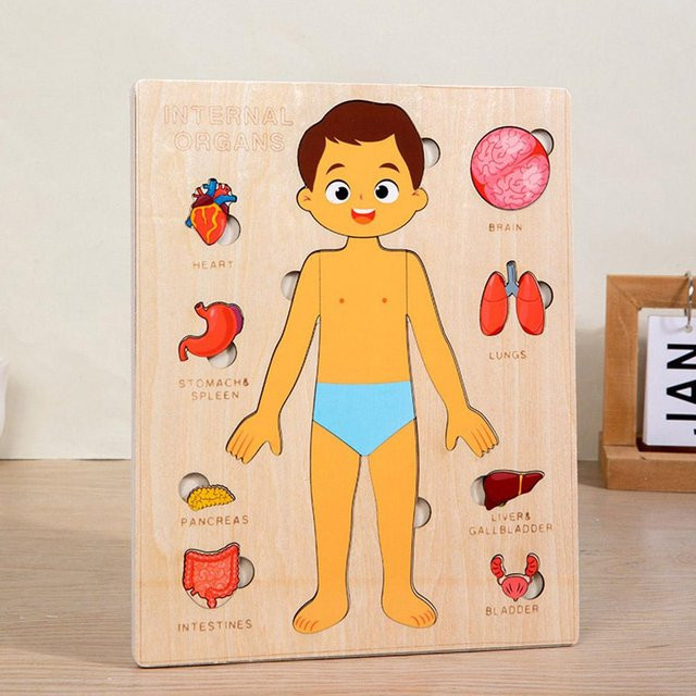 Fashnics Montessori-Körperpuzzle Busy Board, Holz, orange, ab 3 Jahre - Bild 1
