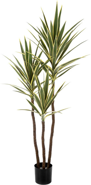 Künstliche Yucca Palme Aplanta Rana, Höhe: 160 cm - Bild 1