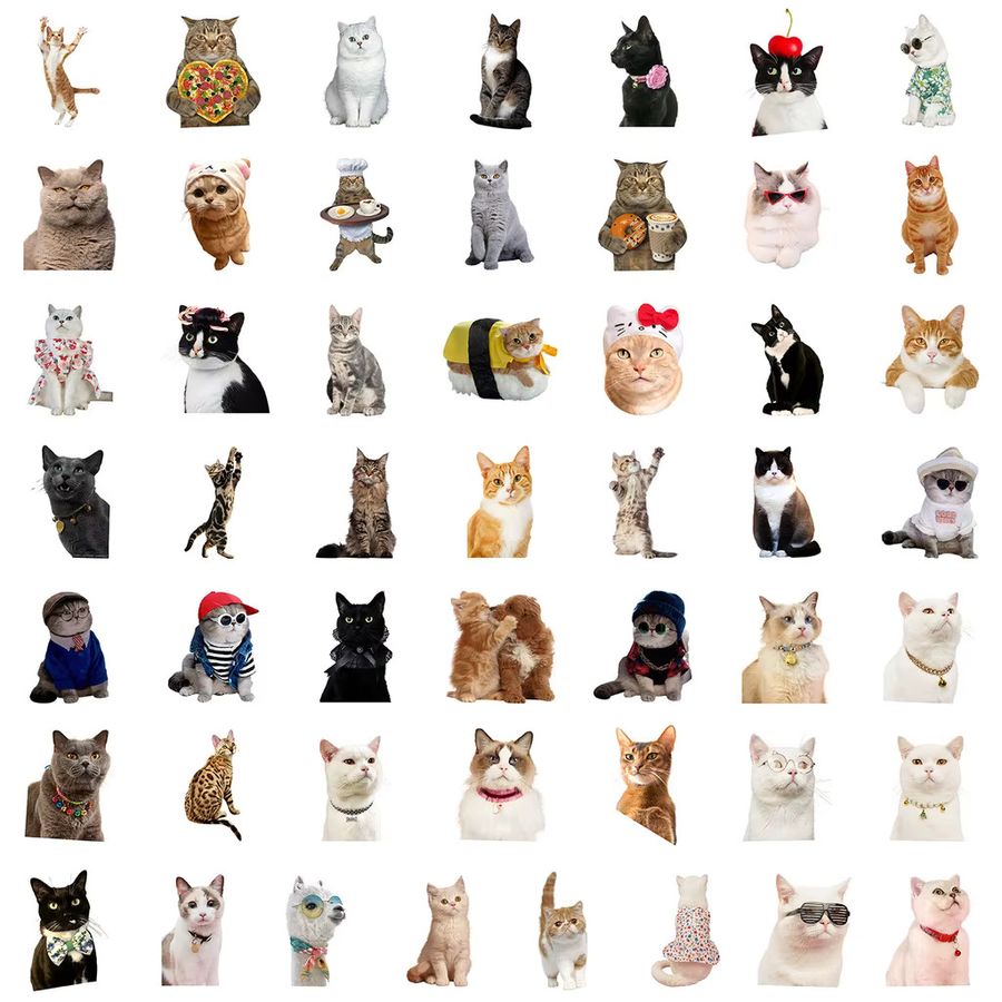 50 Stück wasserfeste Katzen-Meme-Graffiti-Aufkleber aus Vinyl in Multicolor von Anime Worlds Store für Computer und Trinkflaschen - Bild 2