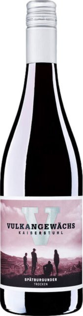 Oberrotweiler Winzerverein eG Spätburgunder Rotwein, Baden, trocken, 2024, 0,75 l - Bild 1