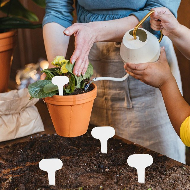 Beschreibbare Gartenetiketten aus Kunststoff in Weiß für Gemüsebeete und Blumentöpfe - Bild 1