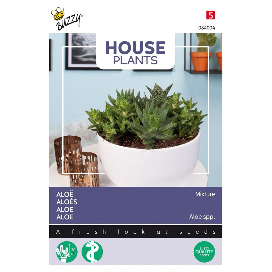 Buzzy House Plants Aloe Mischung Samen für den Innenbereich mit ca. 5 Samen - Bild 2