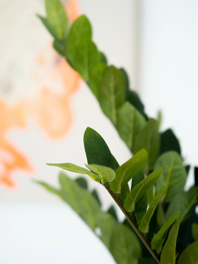 Künstliche Zamioculcas Elena von Aplanta in Grün, Höhe: 70 cm - Bild 3