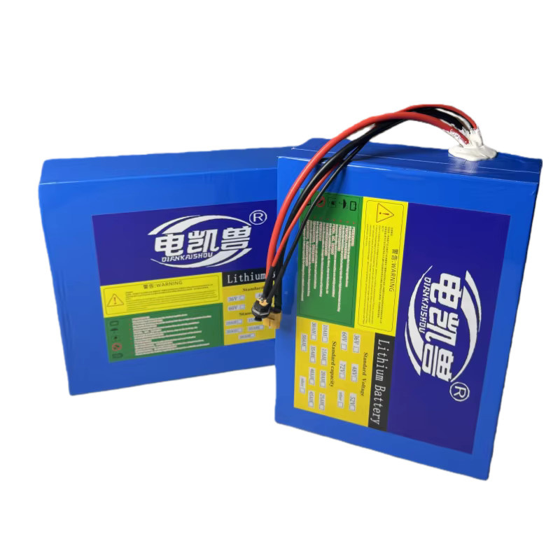 DIANKAISHOU Elektrofahrzeugbatterie 60V mit BMS und 67,2V 5A Ladegerät, Blau - Bild 2