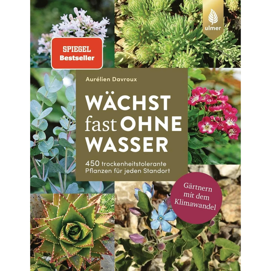 Wächst fast ohne Wasser - Bild 2