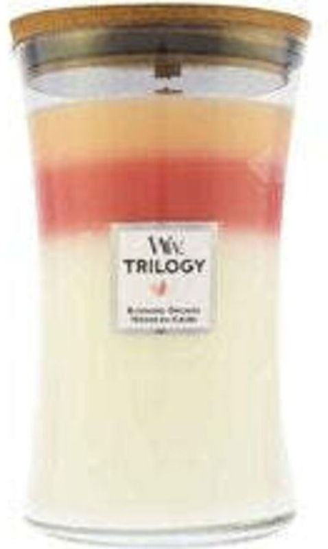 Woodwick Blooming Orchard Trilogy Duftkerze aus Wachs in Mehrfarbig - Bild 1
