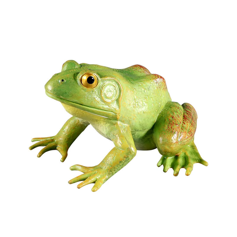 XIALIBAOMOWAN Wild-Insektentiere Ochsenfrosch-Lebenszyklus-Spielzeug, Actionfigur, Kunststoff - Bild 3