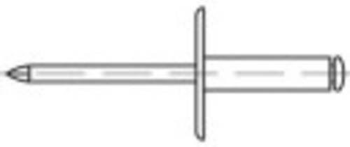 TOOLCRAFT Offene Blindniete aus Aluminium und Stahl, Farbe: Silber, Durchmesser: 4,8 mm, Länge: 25 mm, 250 Stück - Bild 1