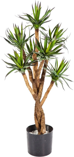 Künstliche Agave Prince von Aplanta, Höhe: 70 cm - Bild 1