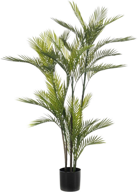 Künstliche Palme Plutos von Aplanta, Höhe: 140 cm - Bild 1
