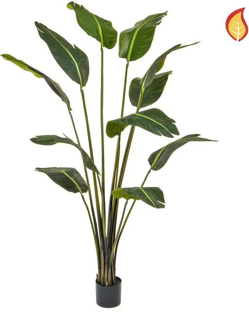 Künstliche Strelitzia Patrick von artplants in Grün, Höhe: 180 cm - Bild 1