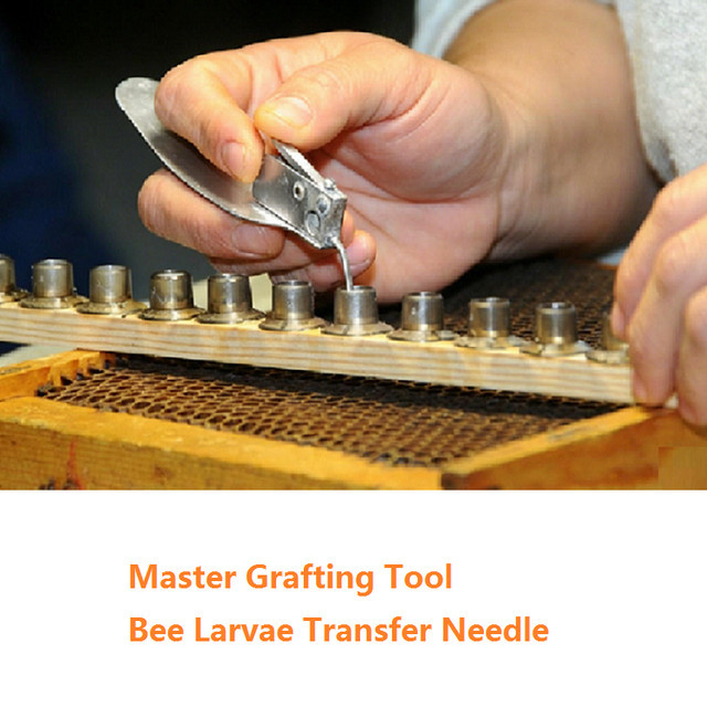 GREENVIVE Bienenköniginnen-Larven-Transfernadel mit Ersatzzunge in Silber für die Königinnenzucht - Bild 1