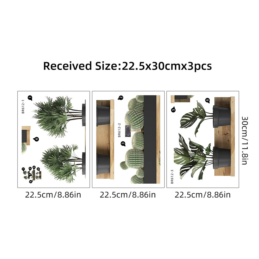 BRUP Wandtattoos Kaktus Pflanze Set, 3 Stück, Grün, Botanisches Wanddesign für Wohnzimmer und Badezimmer - Bild 1