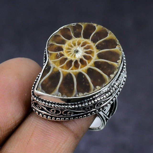 Manju Jewels Paradise Ring, 925 Silber, Ammonit Fossil, Damen, Größe 8 - Bild 1