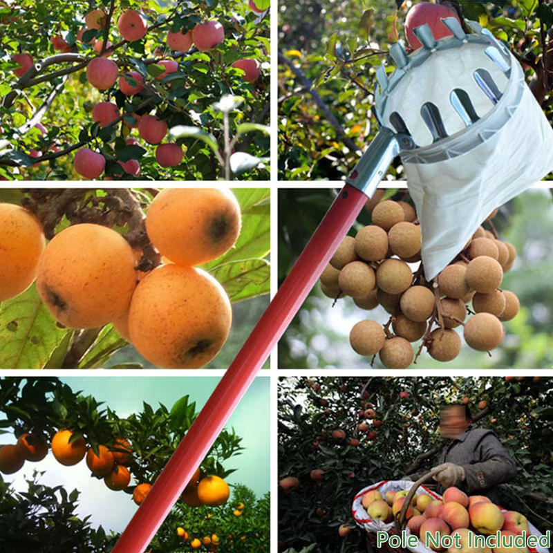 Langlebiger Obstpflücker aus Edelstahl in Silber für hohe Äste - Bild 4