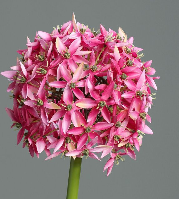 Pinke Kunstblume Allium aus Kunststoff - Bild 1