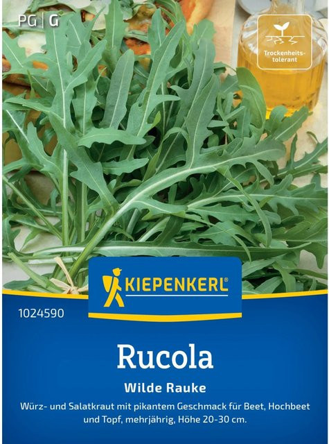 Kiepenkerl Wilde Rauke Rucola Kräutersamen herb - Bild 1