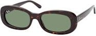 Ray-Ban RB 2221 Sonnenbrille, Rund, Vollrand, Kunststoff, Damen, Brown, Green - Bild 1